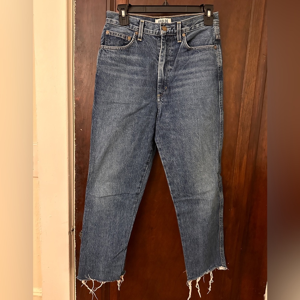 Agolde Pinch Waist Flare Denim